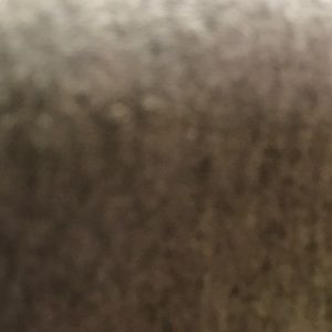 Meet your Posher, Gabby